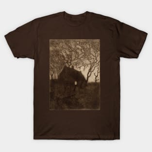 House at Evening Time T-Shirt